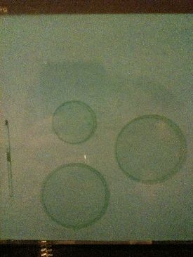 Evolution Of Robin Thicke