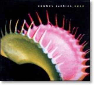 Vivaldi: The Four Seasons