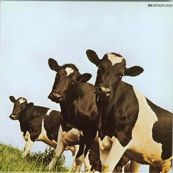 Things To Make And Do