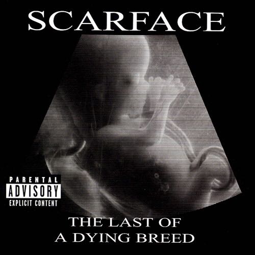 Fitness First: Pure Energy