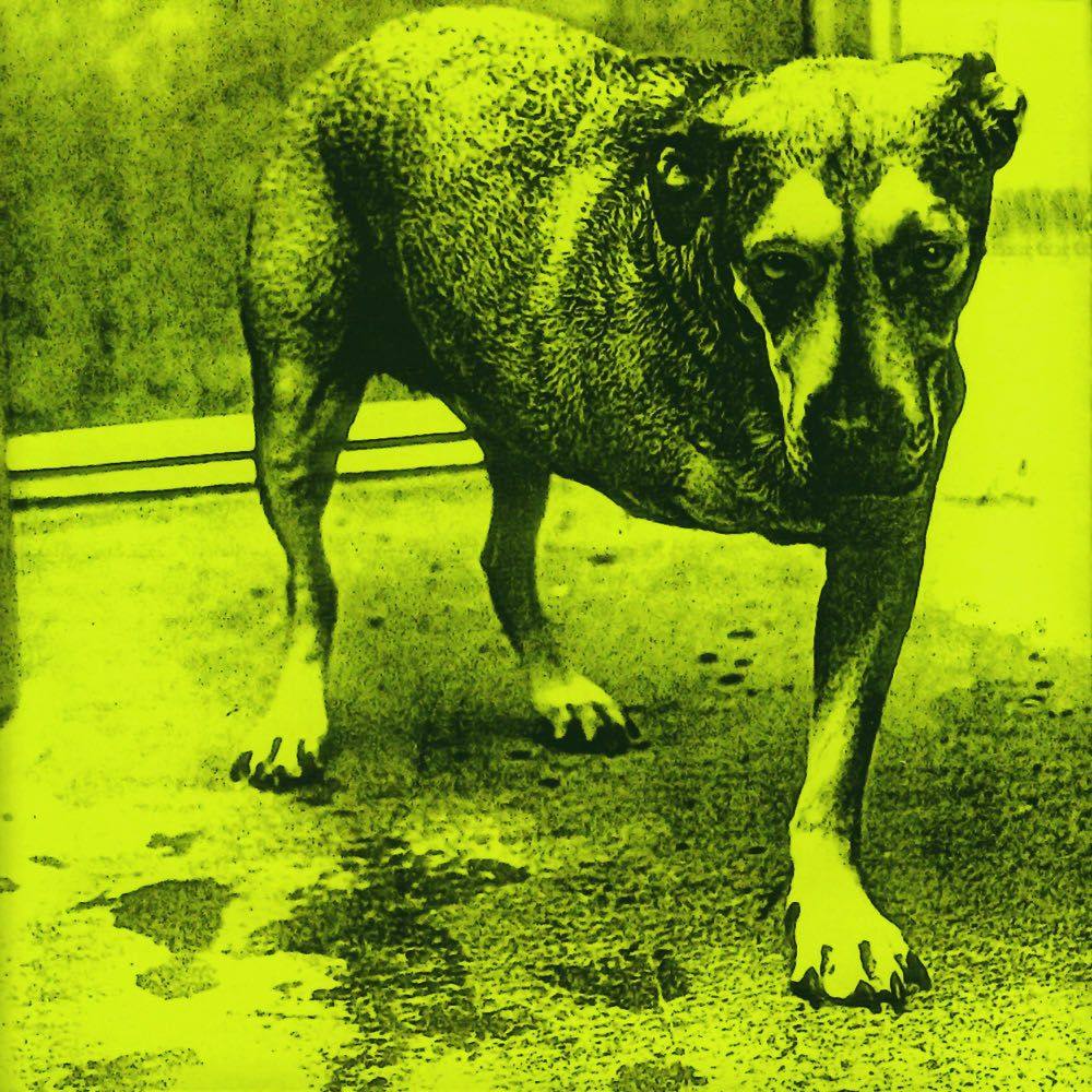 Alice In Chains - Alice In Chains (12” - 65) music collectible [Barcode 5099748111425] - Main Image 3