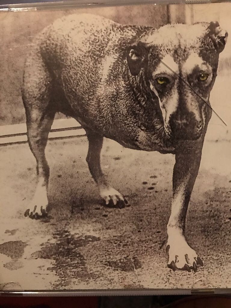 Me And Giuliani Down By The School Yard (A True Story) (Single)