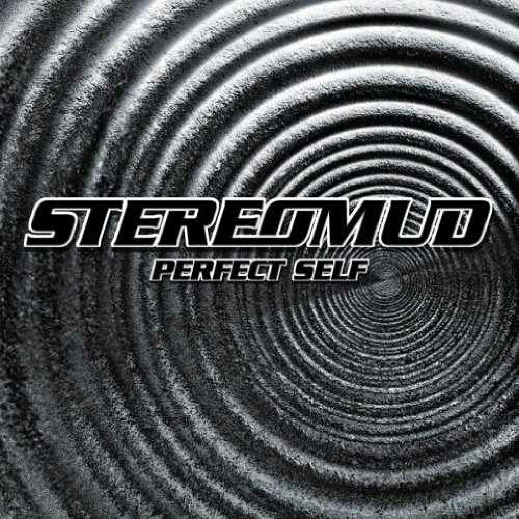 Perfect Self - Stereomud (CD) music collectible - Main Image 1