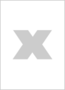 100 % Hits Volume 33