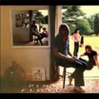 Pink Floyd, Delicate Sound Of Thunder - Pink Floyd (12”) music collectible [Barcode 011179148011] - Main Image 1