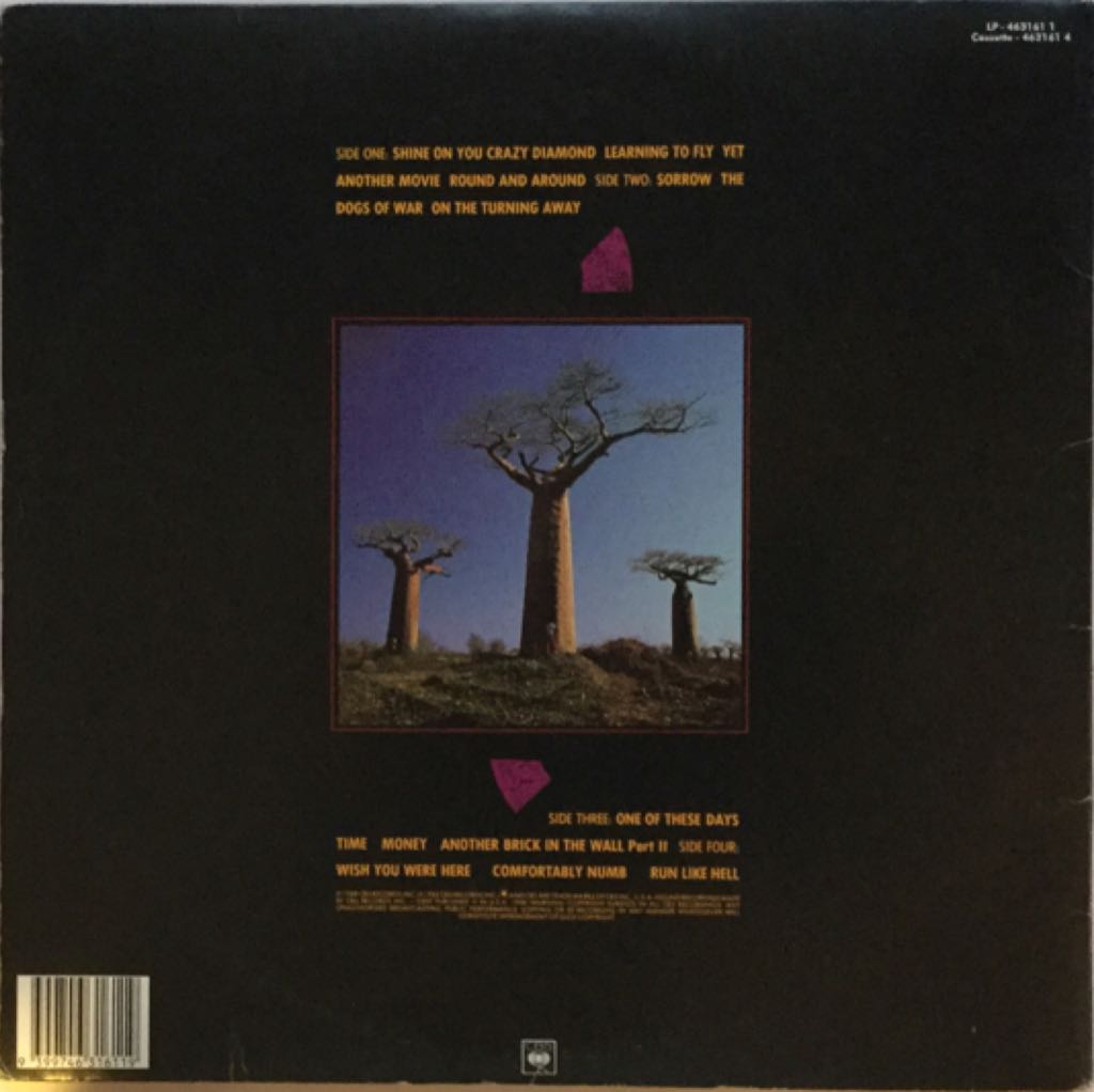 PF Delicate Sound Of Thunder - Pink Floyd (12”) music collectible [Barcode 9399746316119] - Main Image 2