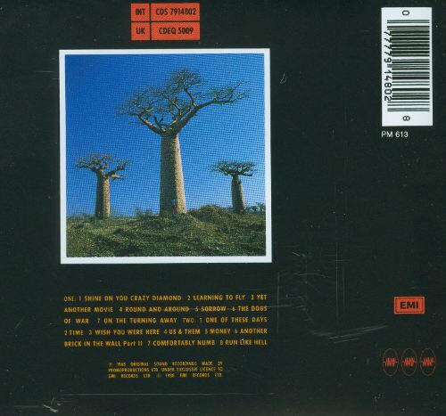 Delicate Sound Of Thunder - Pink Floyd (CD) music collectible [Barcode 9399746316126] - Main Image 2