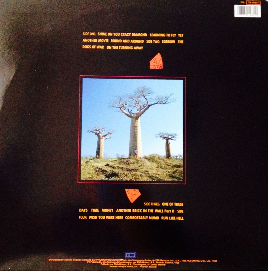 Delicate Sound Of Thunder - Pink Floyd (12”) music collectible - Main Image 2