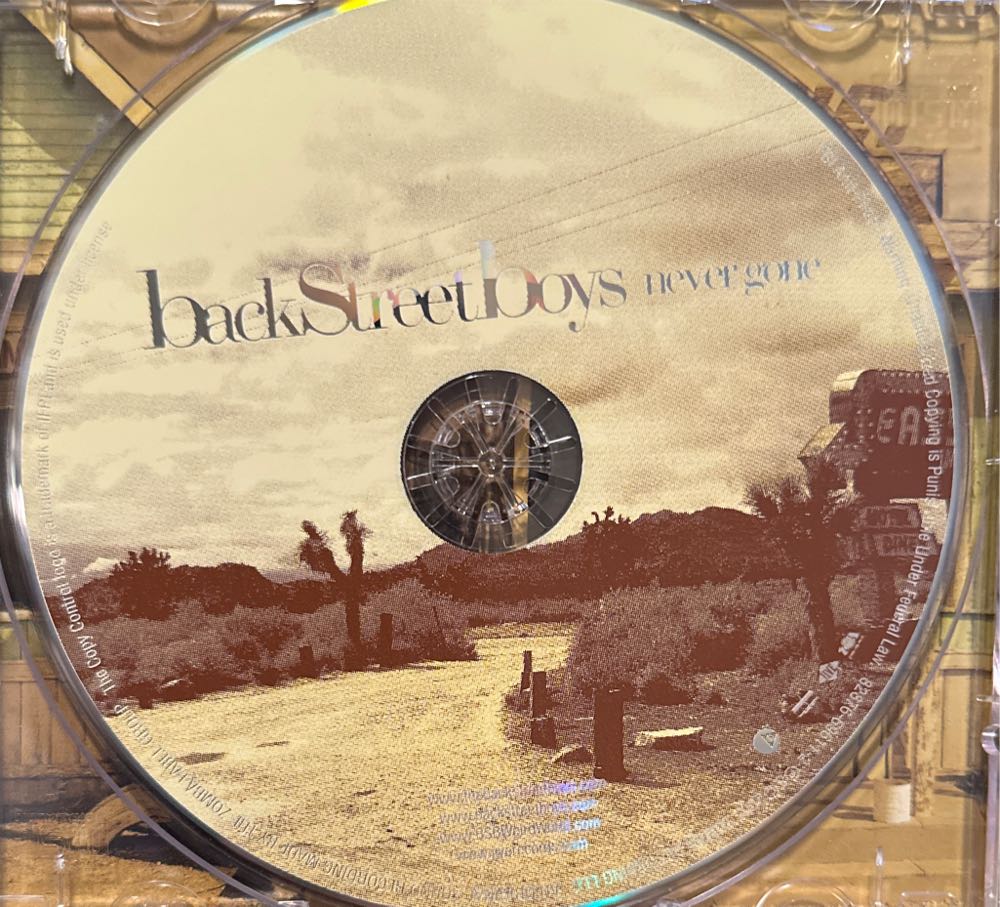 Never Gone - Backstreet Boys (CD - 48) music collectible [Barcode 828766961126] - Main Image 3