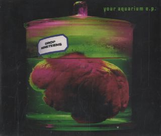 The Freewheelin’ Bob Dylan