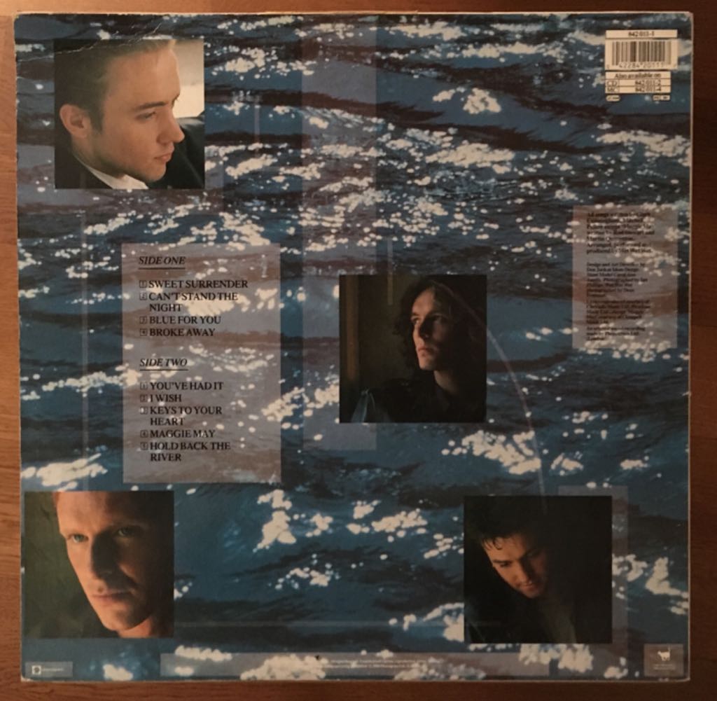 Holding Back The River - Wet Wet Wet (12” - 49) music collectible [Barcode 042284201117] - Main Image 2
