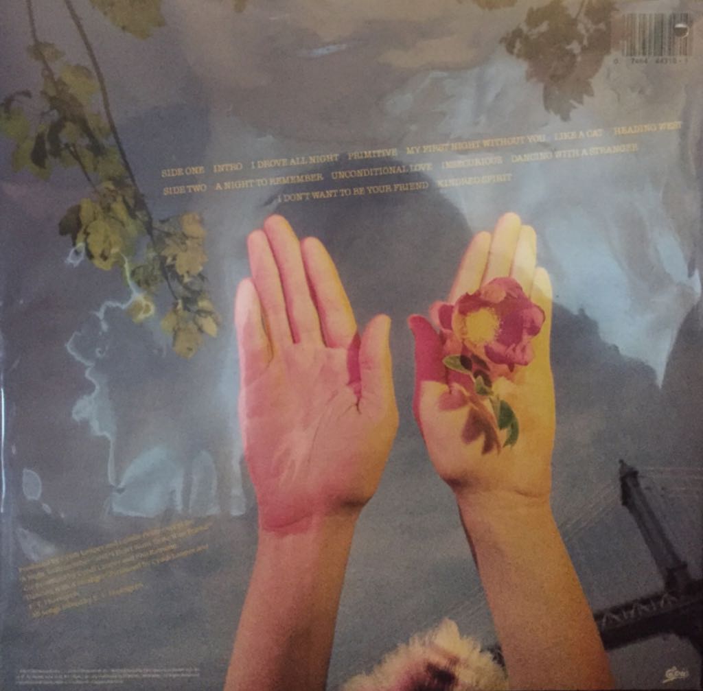 Night To Remember, A - Lauper, Cyndi (12”) music collectible [Barcode 014644437887] - Main Image 2
