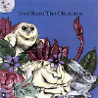 God Save The Clientele - Clientele, The (CD - 44) music collectible [Barcode 673855029726] - Main Image 1