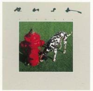 Here Come The Warm Jets