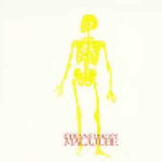 Steve Miller Band - Living In The USA