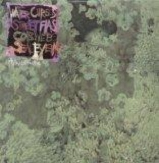 Water Curses - Animal Collective (12”) music collectible [Barcode 801390016912] - Main Image 1