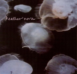 With Roots Above And Branches Below