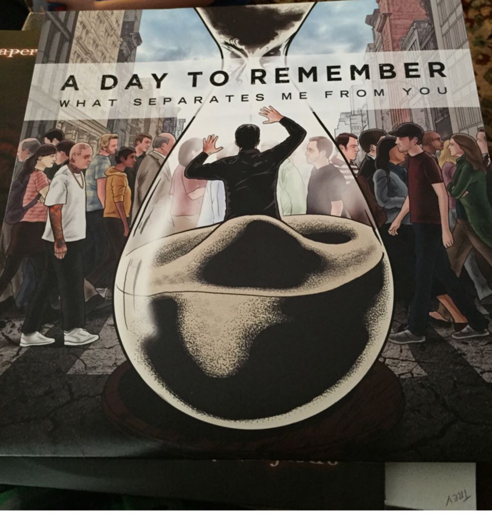 What Separates Me from You - A Day To Remember (12”) music collectible - Main Image 1