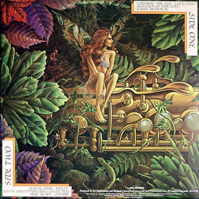 Catching The Sun - Spyro Gyra (12” - 37) music collectible - Main Image 2