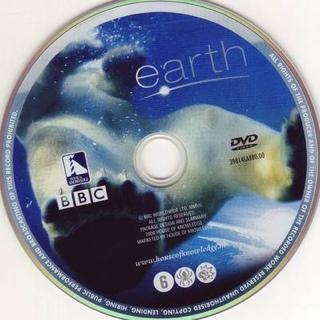 è˜†è‘¦çš„è²éŸ³