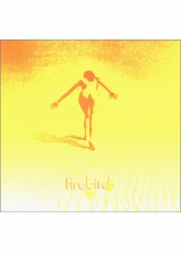 Unplugged In New York