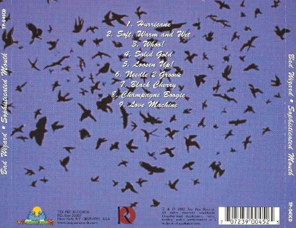 Sophisticated Mouth - Bad Wizard (CD) music collectible [Barcode 707239004525] - Main Image 2