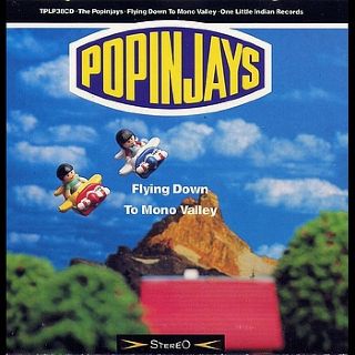 Putumayo Presents: A New Groove