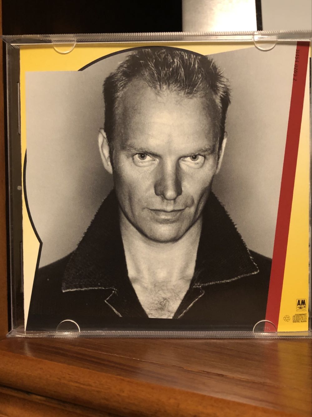 Fields Of Gold - Sting (CD - 67) music collectible [Barcode 731454026925] - Main Image 3