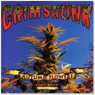 Different Gear, Still Speeding