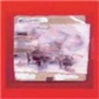 Niceland - Mugison (CD) music collectible [Barcode 827884001424] - Main Image 1