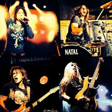 Shady Lane SINGLE RUG 53