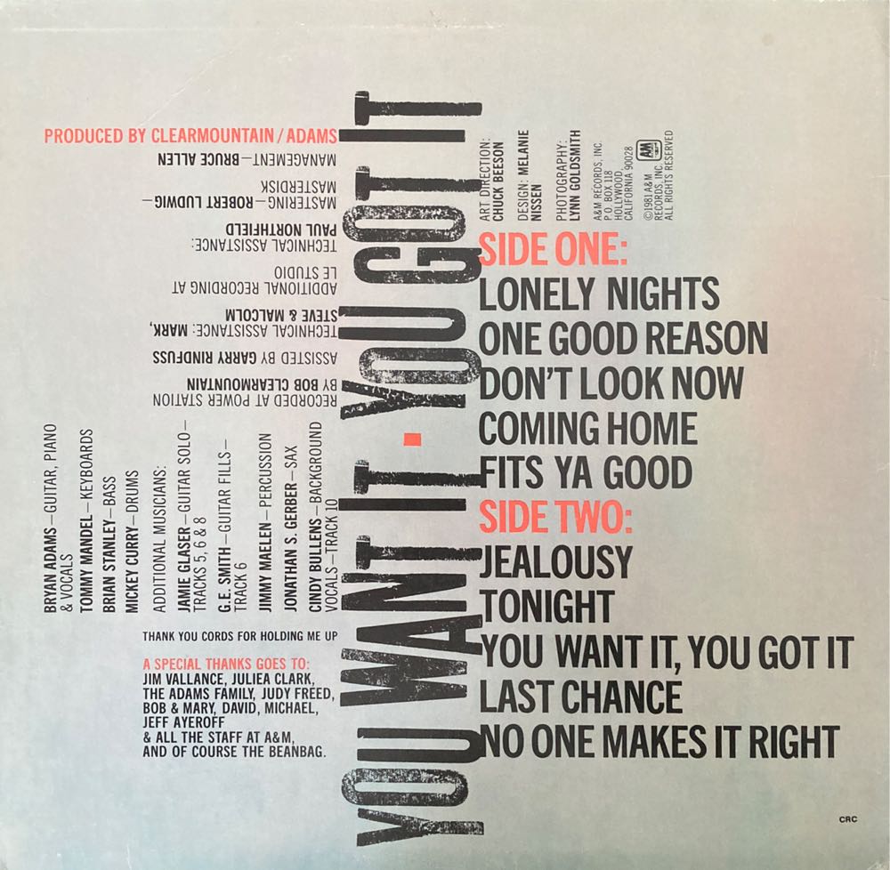 You Want It, You Got It - Adams, Bryan (12”) music collectible - Main Image 2