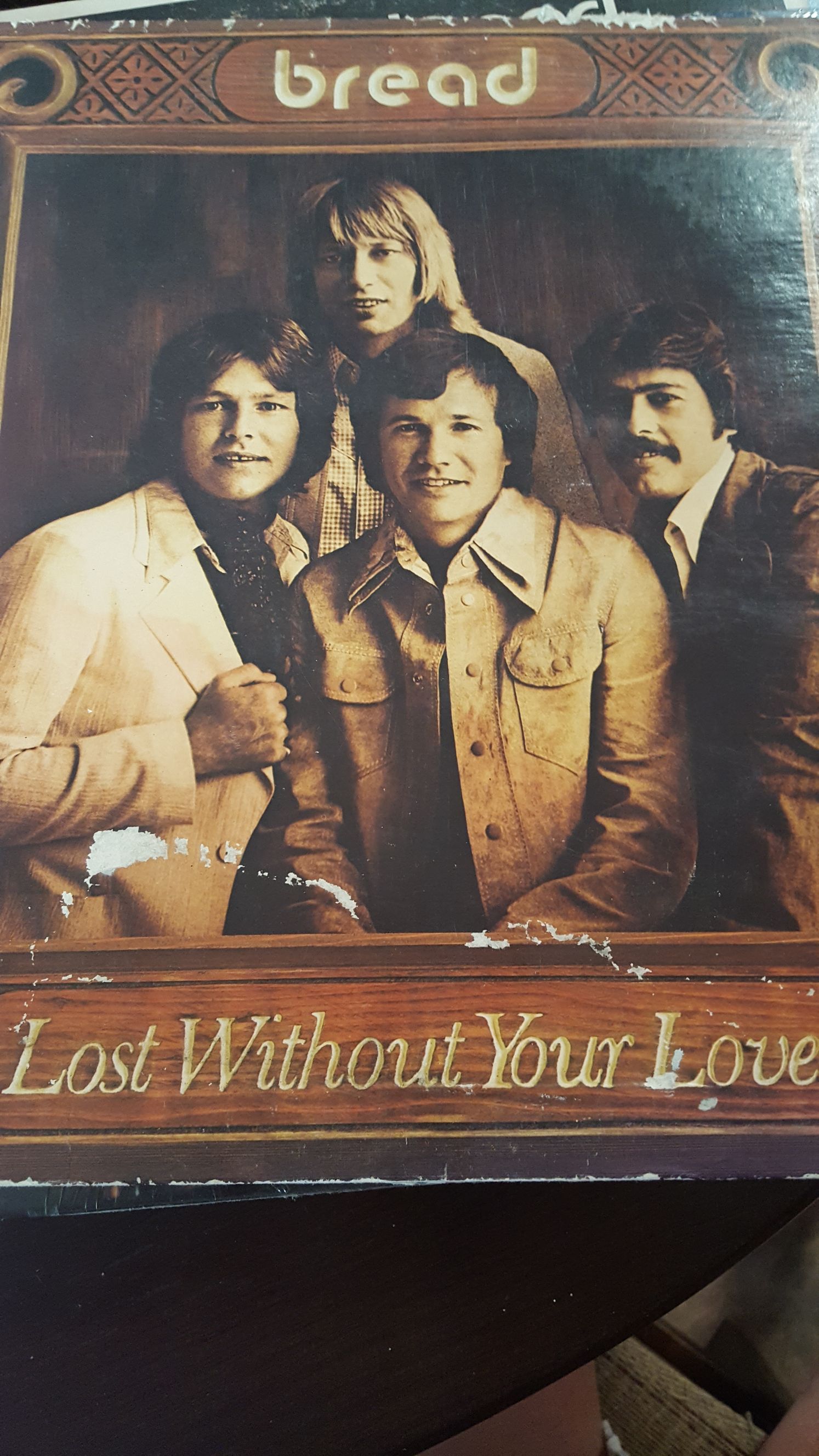 #01 Look What the Cat Dragged In