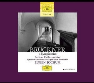 Scars of the Crucifix