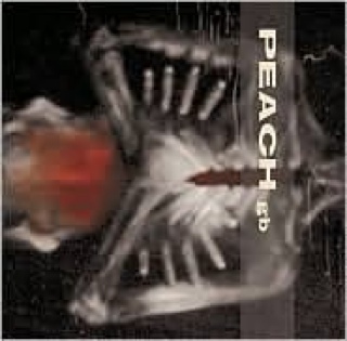 Giving Birth to a Stone - Peach (CD) music collectible [Barcode 614223116228] - Main Image 1