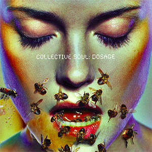 Disciplined Breakdown - Collective Soul (12”) music collectible [Barcode 08210999] - Main Image 4