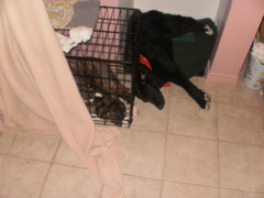 Hall Of The Mountain King