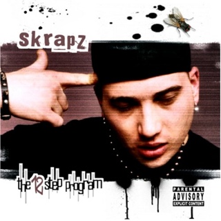 The 12 Step Program - Skrapz (CD) music collectible [Barcode 809070992020] - Main Image 1
