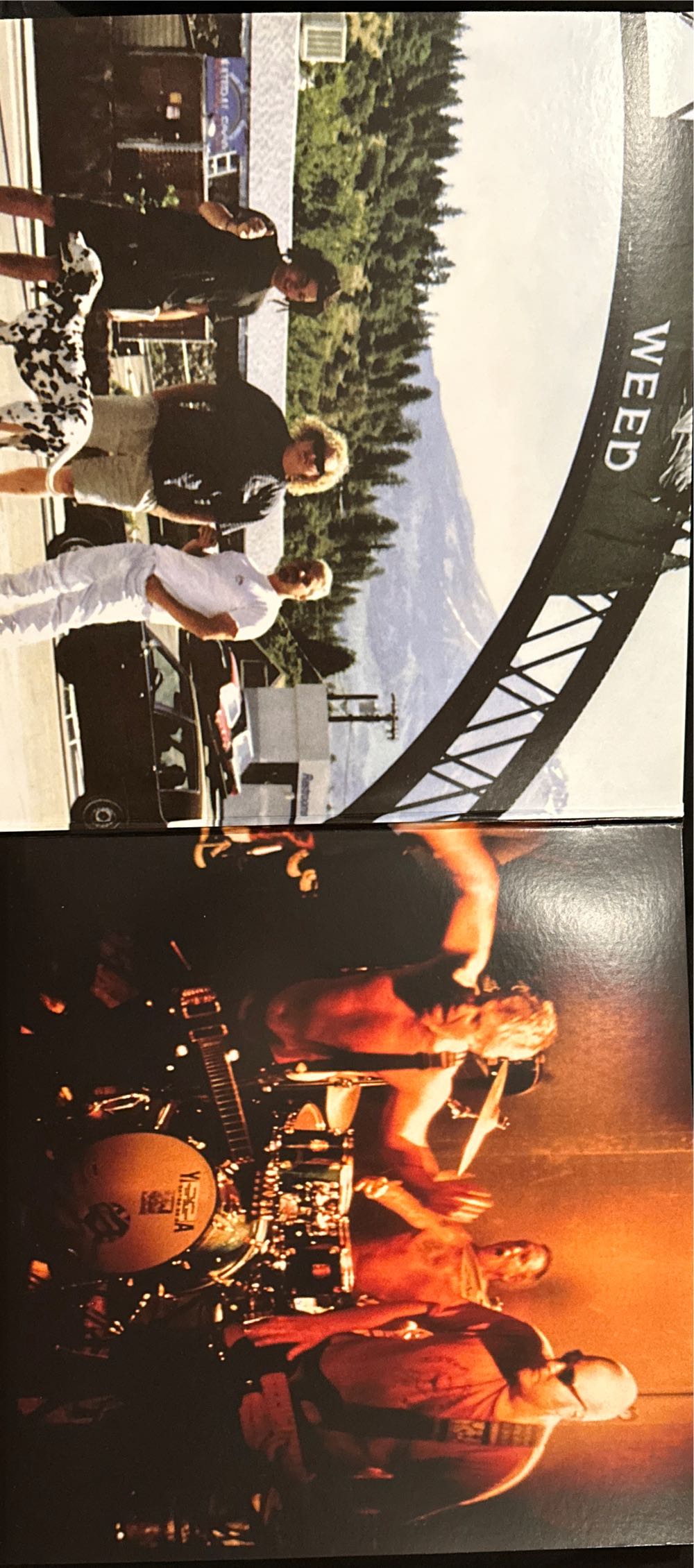 40oz. To Freedom - Sublime (CD - 69) music collectible [Barcode 602547811554] - Main Image 3