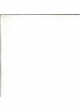 Cercavamo Il Silenzio