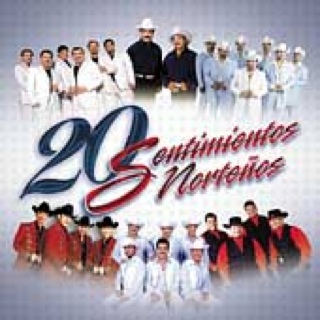 Pursuit Of Accidents/standing In The LiB...