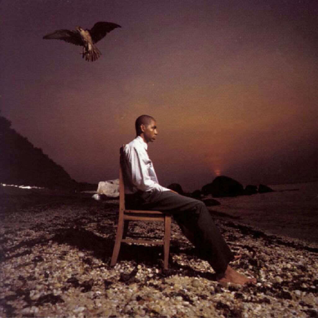 BOF Reversal Of Fortune