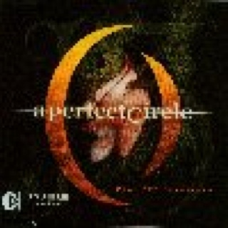 At The Speed Of Life