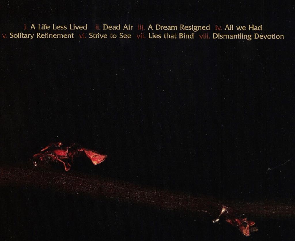 Dismantling Devotion - Daylight Dies (CD) music collectible [Barcode 803341222724] - Main Image 2