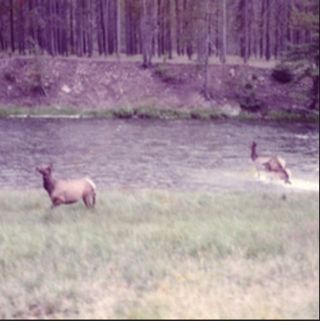 SpongeBob Squarepants: Original Theme Highlights