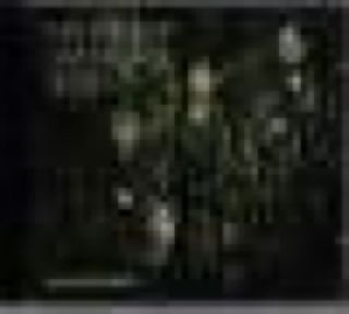 How to Clean Everything