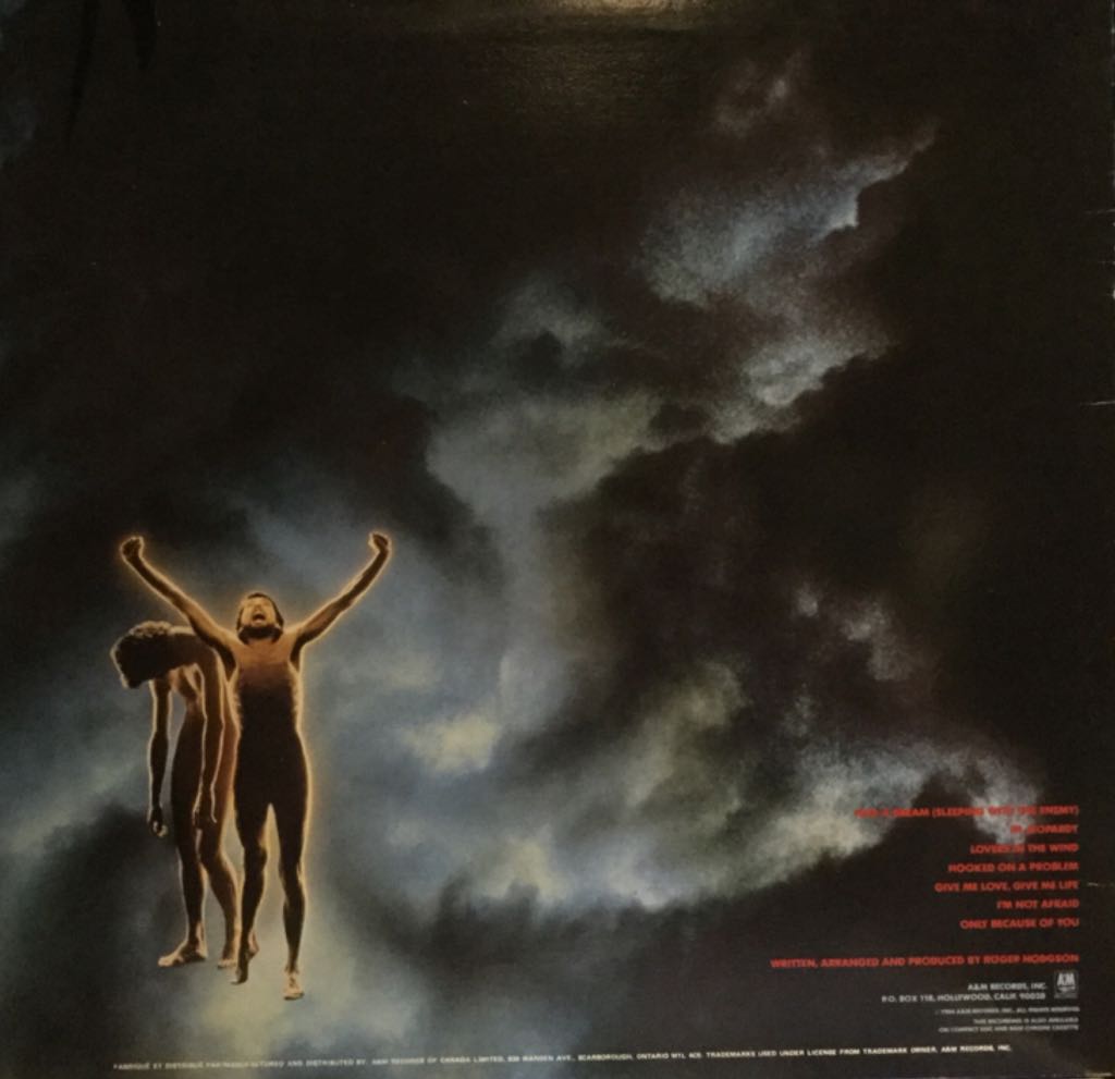 In The Eye Of The Storm - Hodgson, Roger (CD) music collectible - Main Image 2
