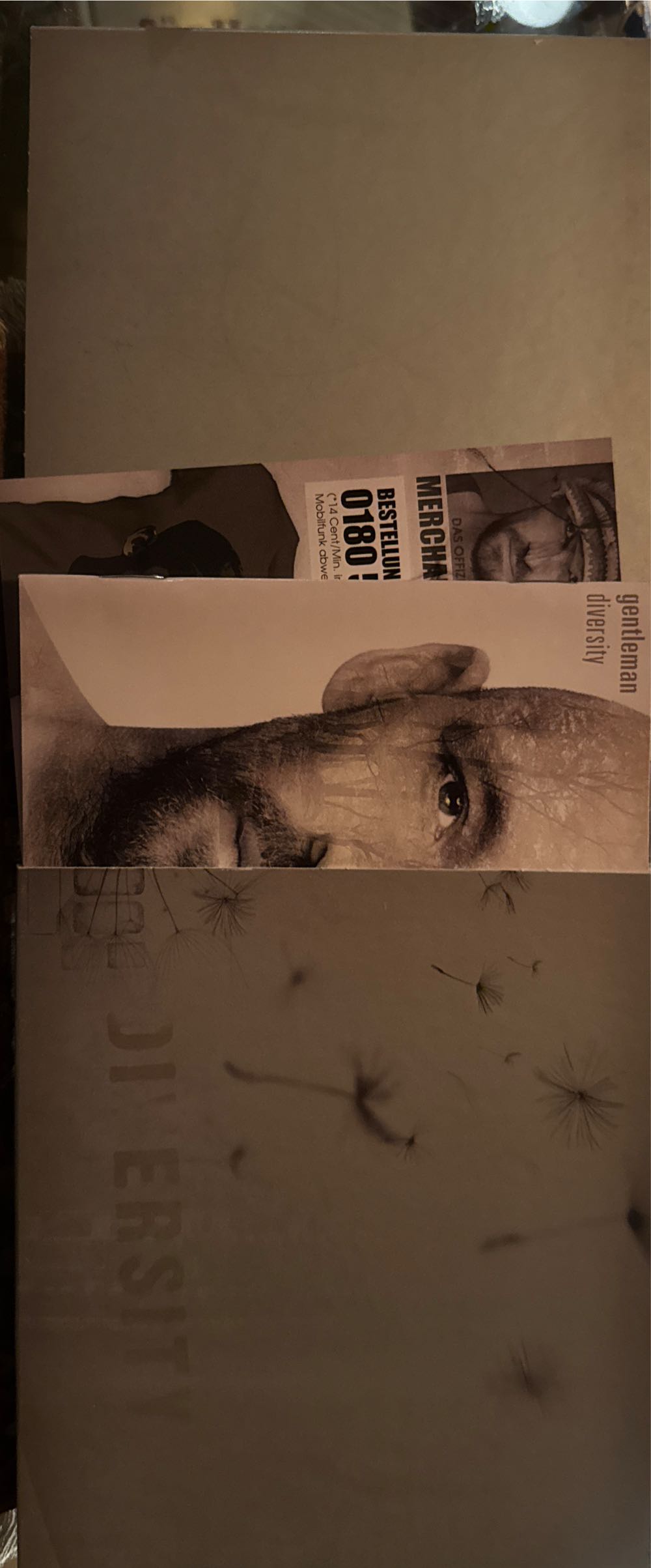 Diversity - Gentleman (CD) music collectible [Barcode 602527335018] - Main Image 4