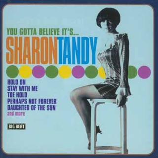 Dawgnation - David Grisman Quintet