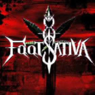 Herbal Infusion - The Hunter